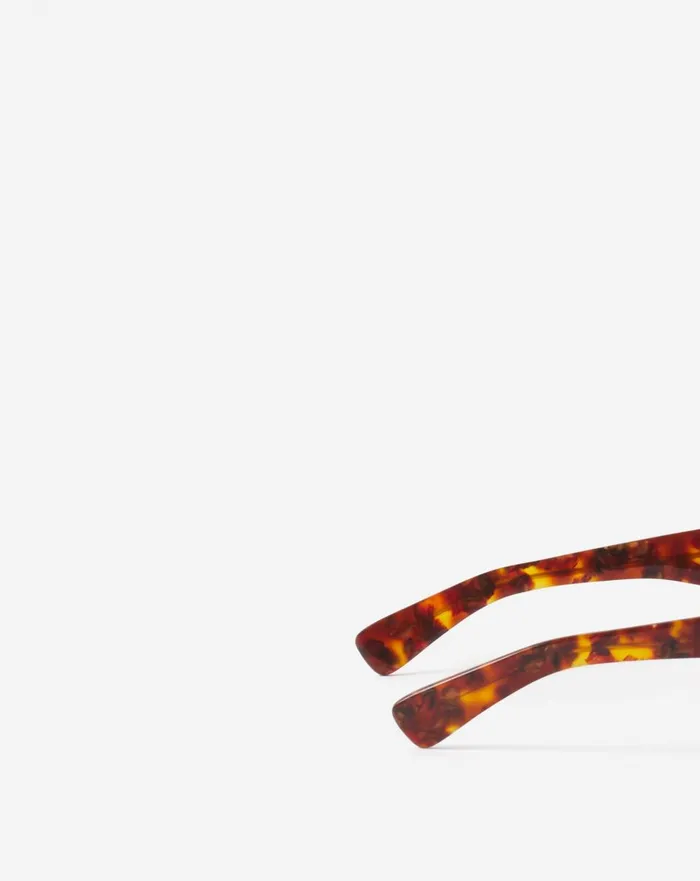 Aviator Sunglasses Amberturtoise Men Lanvin Sunglasses