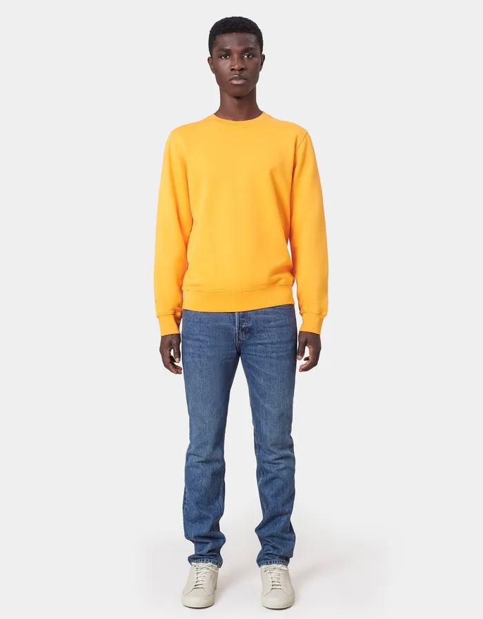 Crewneck Sweatshirts Colorfulstandard Men Classic Organic Crew 8211 Cedar Brown