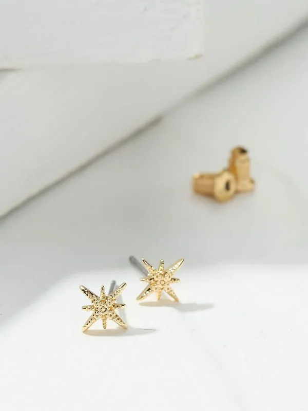 Fat Face Jewellery Women Gold Tone Textured Stud Earrings