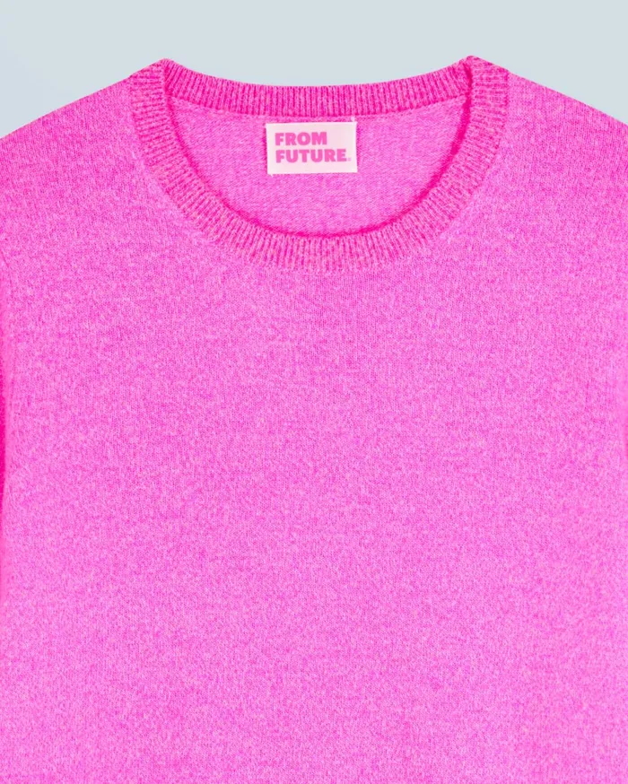 From Future Cashmere Sweaters Women Basic Crewneck Sweater Pink