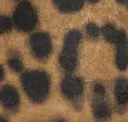 Kenneth Cole Boots and Booties Women Meryl Suede Leopard Bootie Brown
