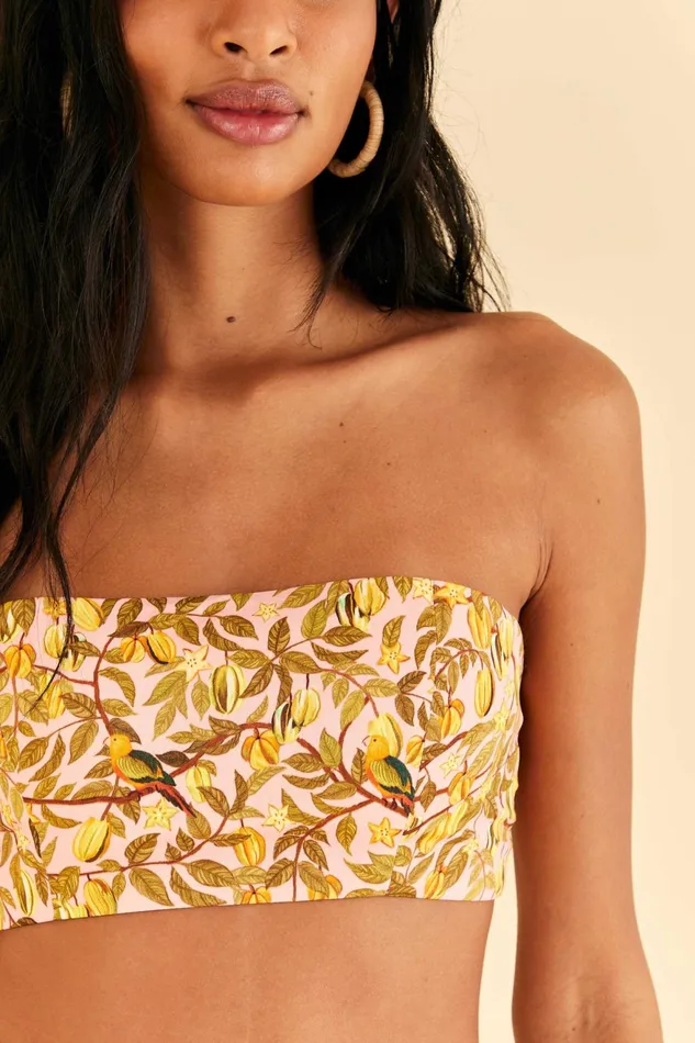 Light Pink Star Fruit Crop Top Women Farm Rio Crop Tops