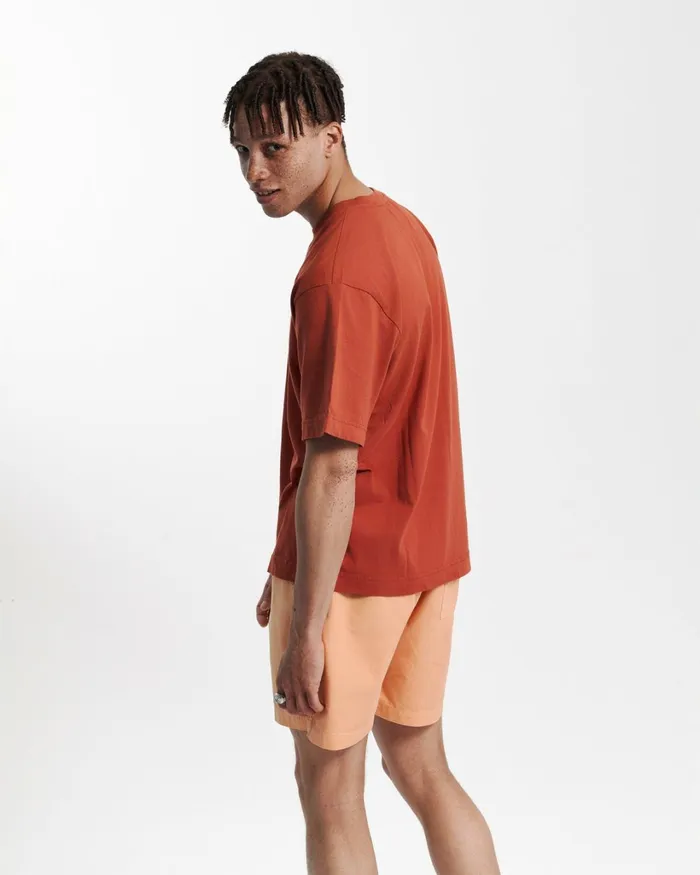 Men Oversized Organic TShirt Sahara Camel Colorful Standard TShirts