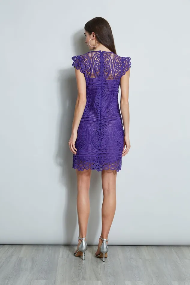 Outlet 8211 Women Short Dresses Elie Tahari Lace Flutter Sleeve Dress Plum