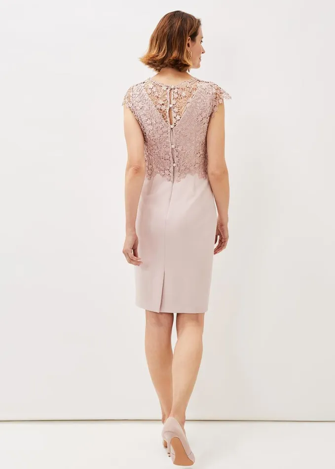 Phase Eight Mariposa Floral Lace Bodice Dress Antique Rose Women Dresses