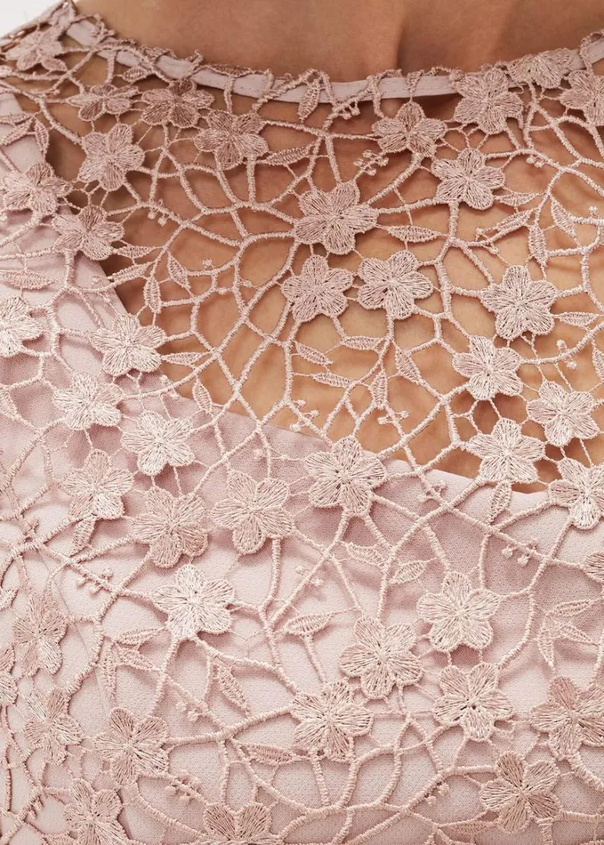 Phase Eight Mariposa Floral Lace Bodice Dress Antique Rose Women Dresses