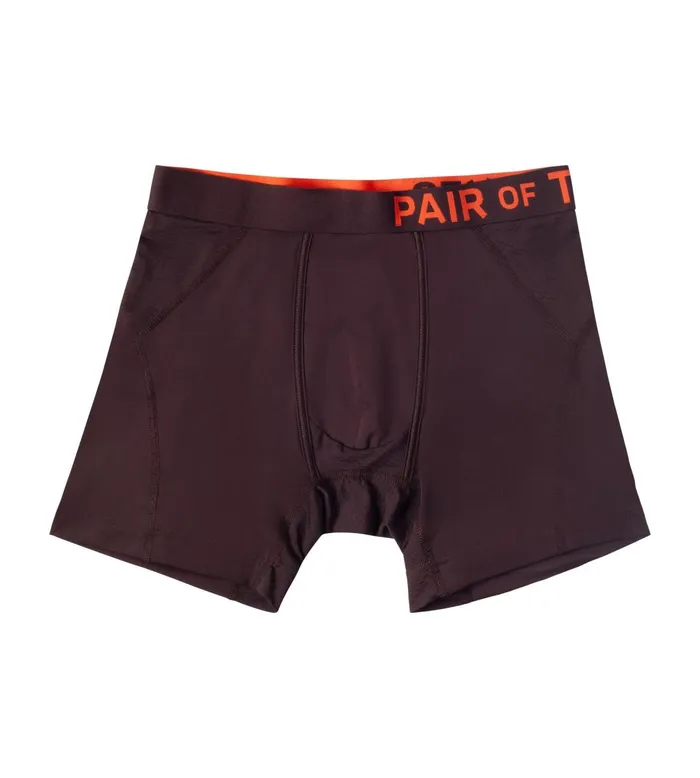 Supercool Boxer Briefs Brown Underwear 2 Pack Men Pair Of Thieves Boxer Briefs