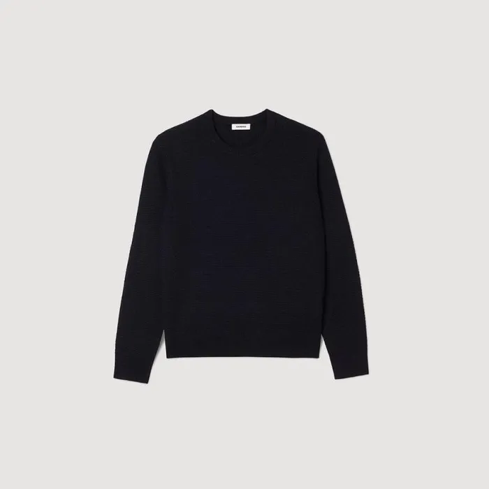 Sweaters and Cardigans Men SANDRO Wool Sweater Navy Blue