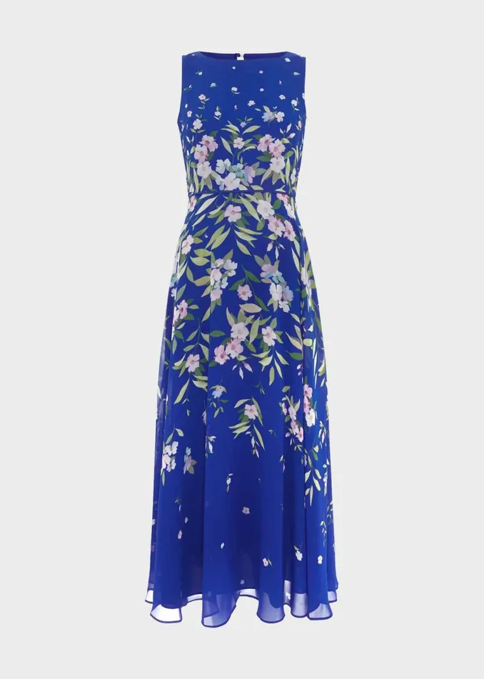 Women Dresses and Jumpsuits Hobbs Petite Carly Floral Midi Dress Blue Multi
