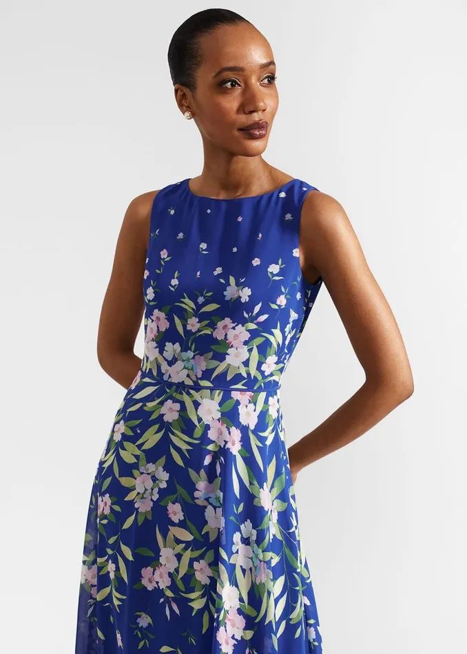 Women Dresses and Jumpsuits Hobbs Petite Carly Floral Midi Dress Blue Multi