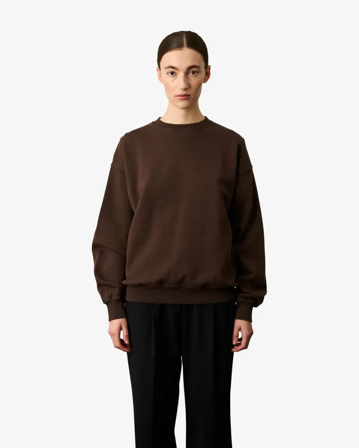 Women Organic Oversized Crew Oyster Grey Colorful Standard Crewneck Sweatshirts
