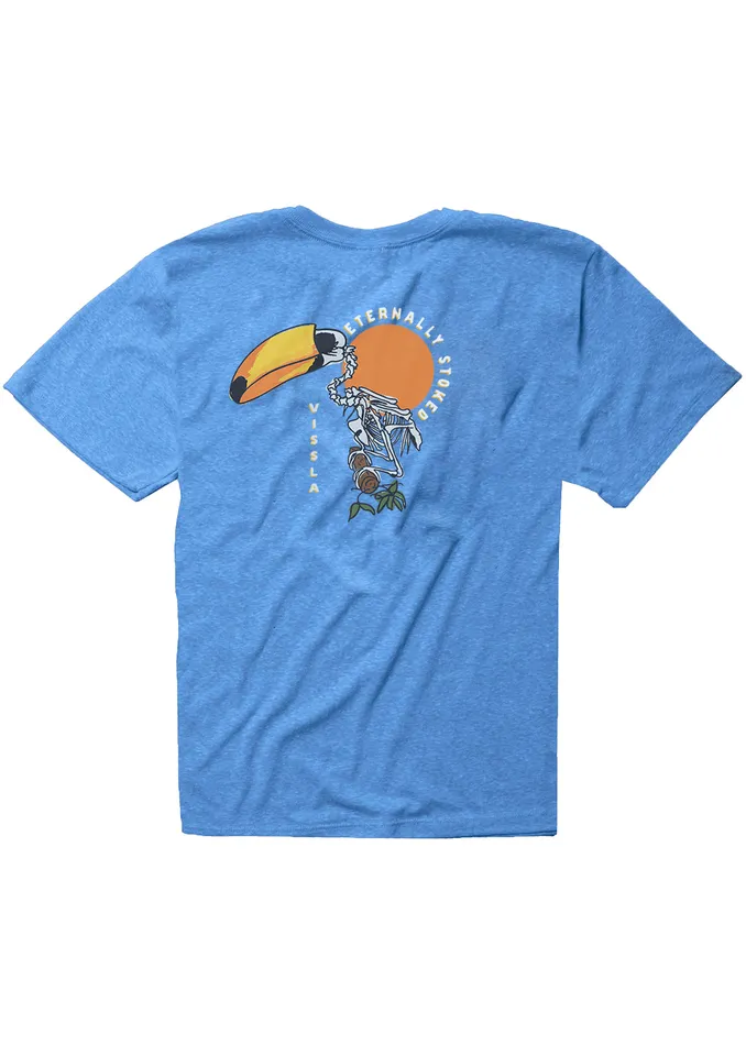Youth Toucan Play Boys Tee RYH 8211 Royal Heather Clothing Vissla